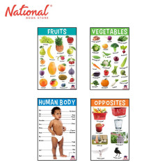 Primary Charts: Jumbo Charts Set of 4 - Learning Aids for...