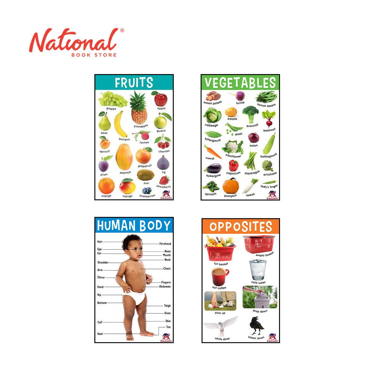 Primary Charts: Jumbo Charts Set of 4 - Learning Aids for Kids