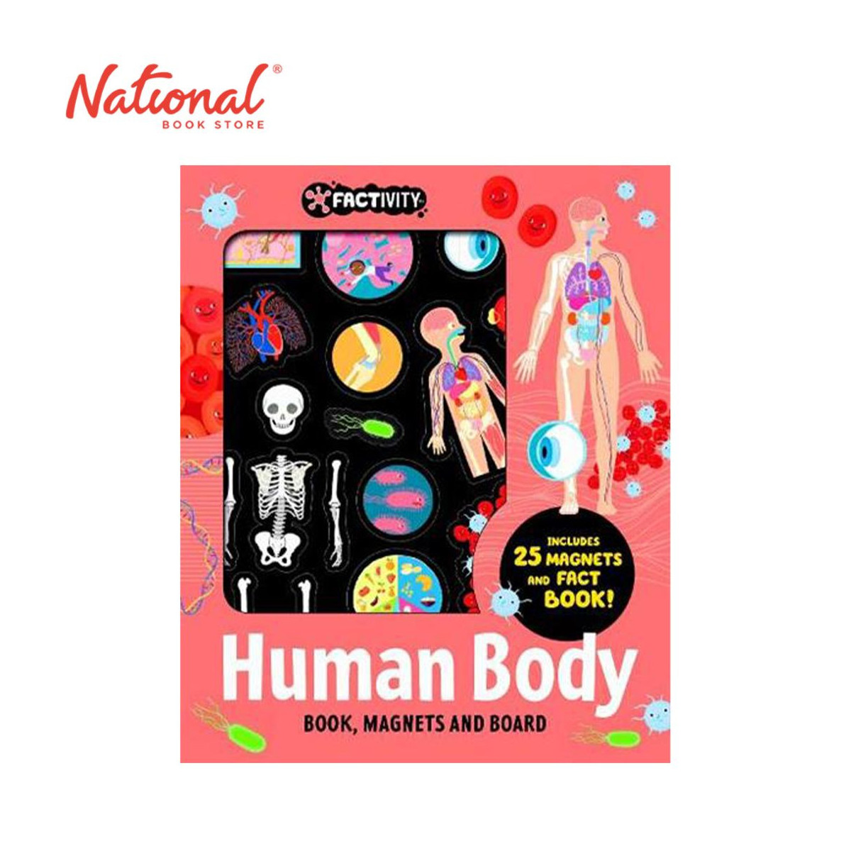 Factivity: Human Body Book, Magnets And Board Neon Ed - Trade Paperback