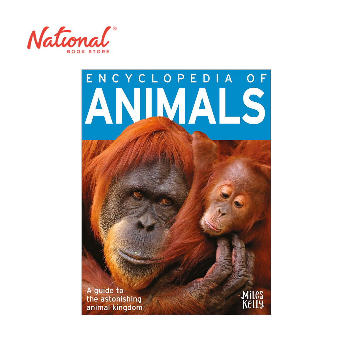 Encyclopedia of Animals - Trade Paperback - Books for Kids