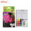 Sakura Koi Watercolor Creative Art Colors Pocket Field Sketch Box Set of 12 Colors XNCW-12MH 12