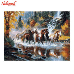 Skylar Paint By Numbers Folded Kit NF010 - Galloping Horses 40x50 cm